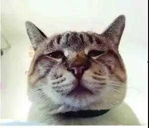 教师被气疯的表情包,教师心声的生动写照